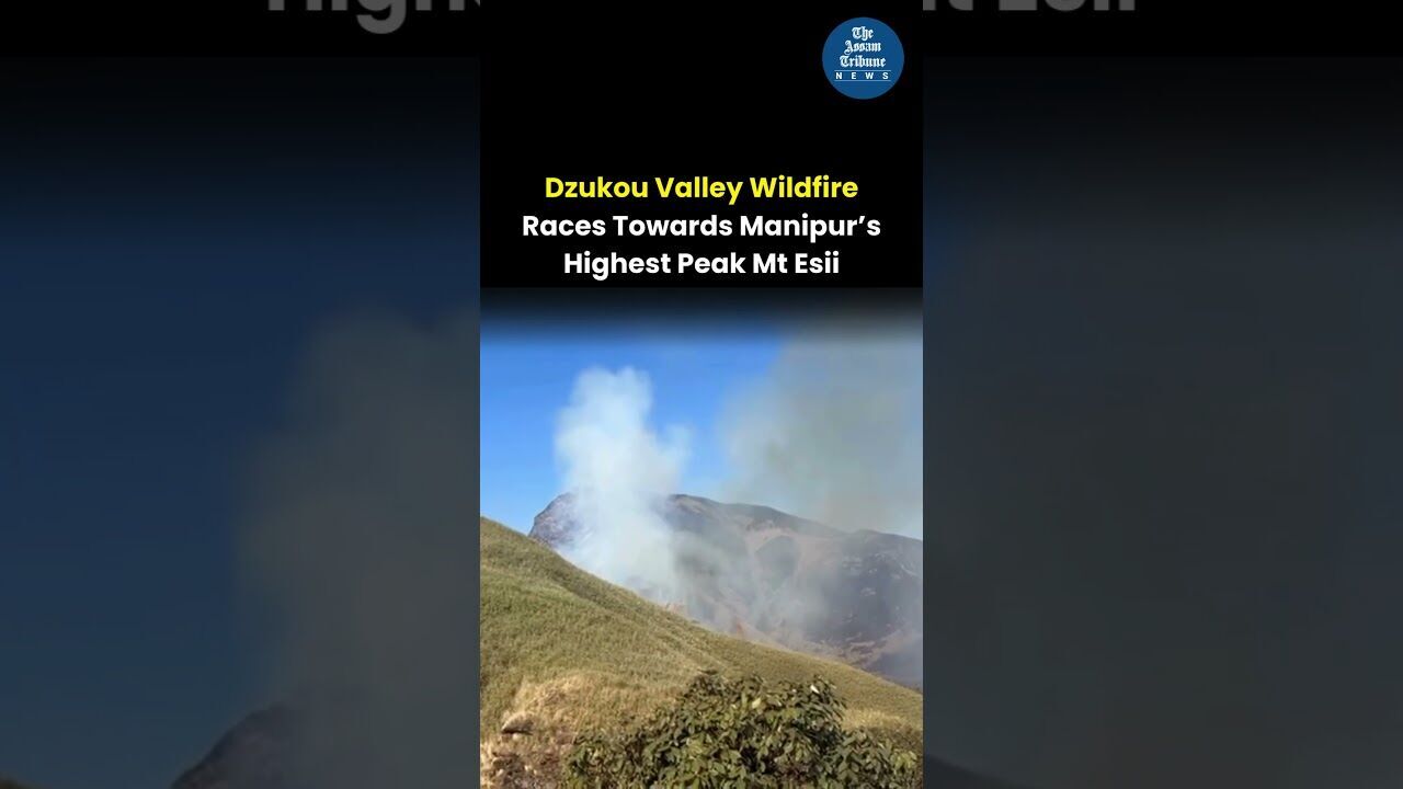 Dzukou Valley Wildfire Races Towards Manipur’s Highest Peak Mt Esii