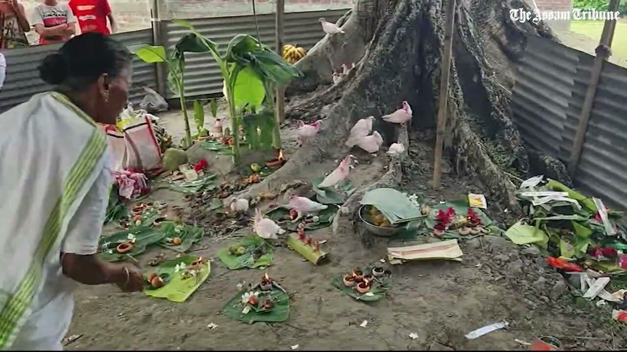 Traditional pigeon flying festival held at Baihata in Kamrup