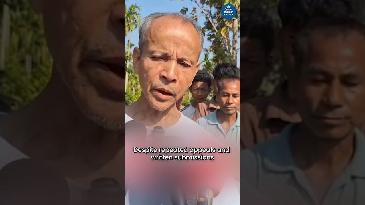 For 20 Years, This Golaghat Village Have Been Depending on Unsafe Bamboo Bridge