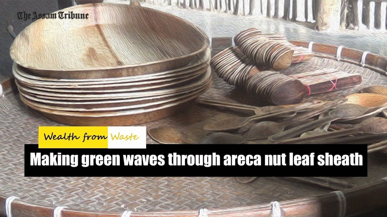 Wealth from Waste: Making green waves through areca nut leaf sheath