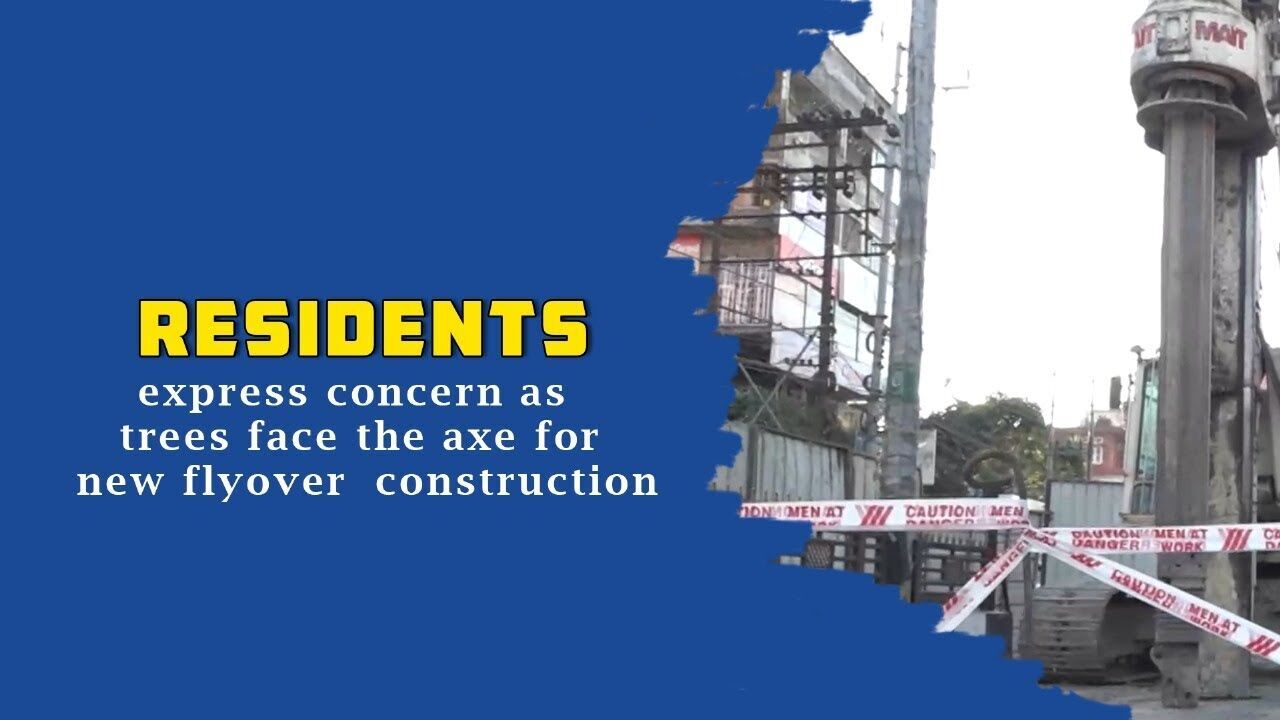 Guwahati residents express concern as trees face the axe for new flyover construction