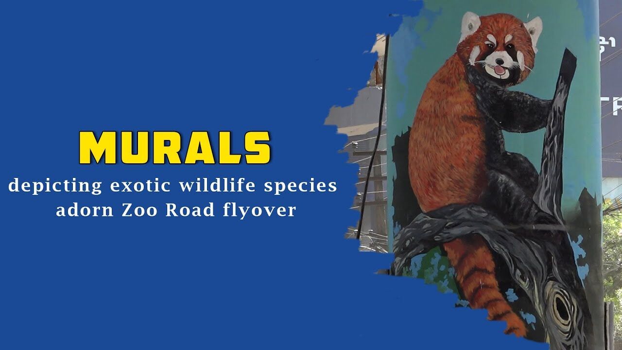 Murals depicting exotic wildlife species adorn Zoo Road flyover