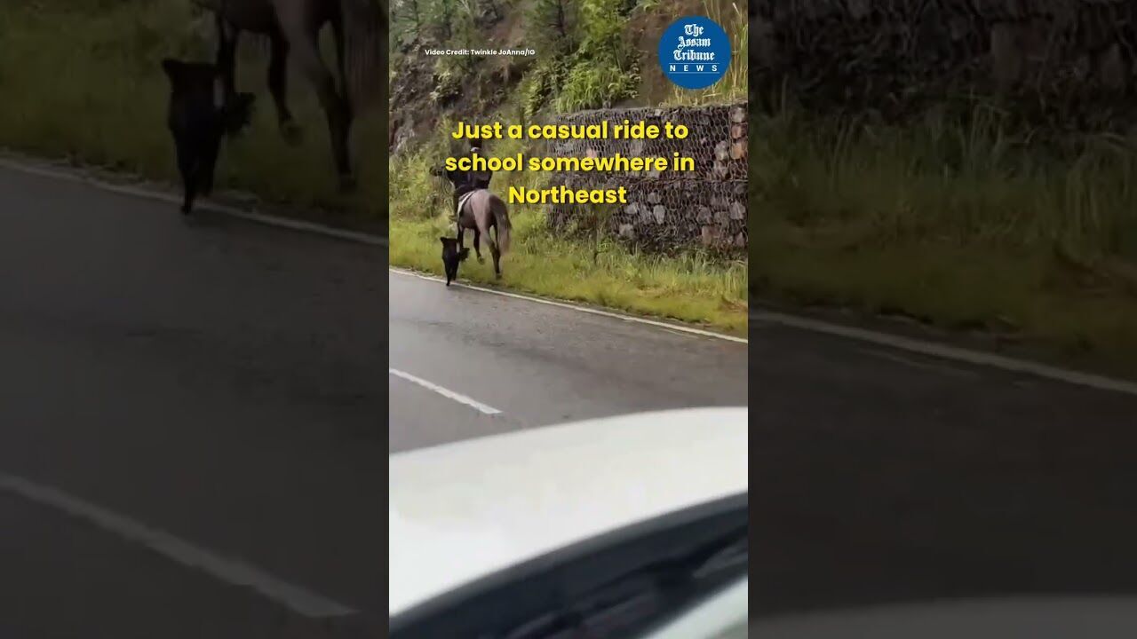 Schoolboy rides horse to school in Meghalaya