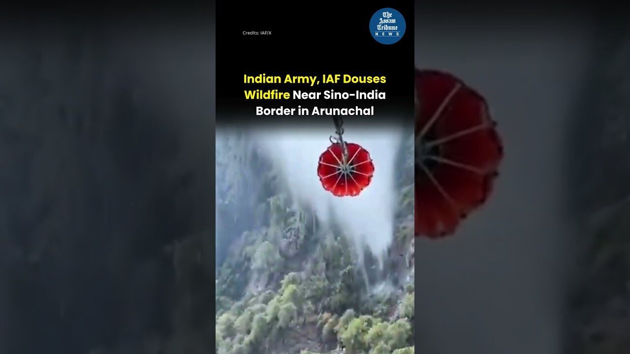 Indian Army, IAF Douses Wildfire Near Sino-India Border in Arunachal