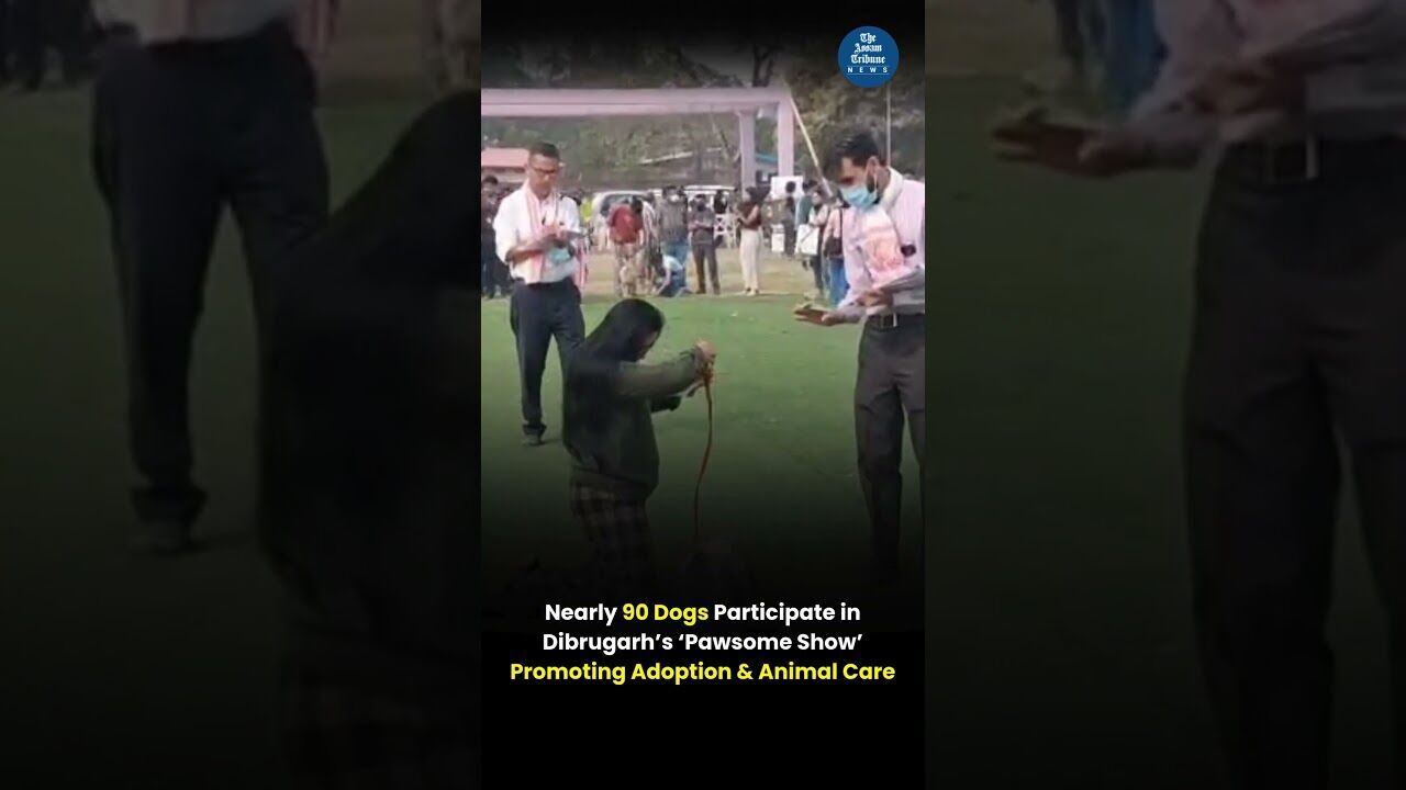 Nearly 90 Dogs Participate in Dibrugarh’s ‘Pawsome Show’ Promoting Adoption & Animal Care
