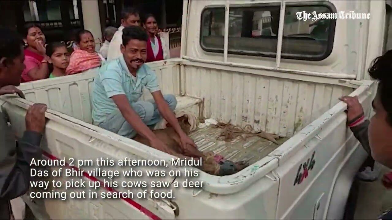 Deer rescued in South Bhir village of Biswanath in Assam.