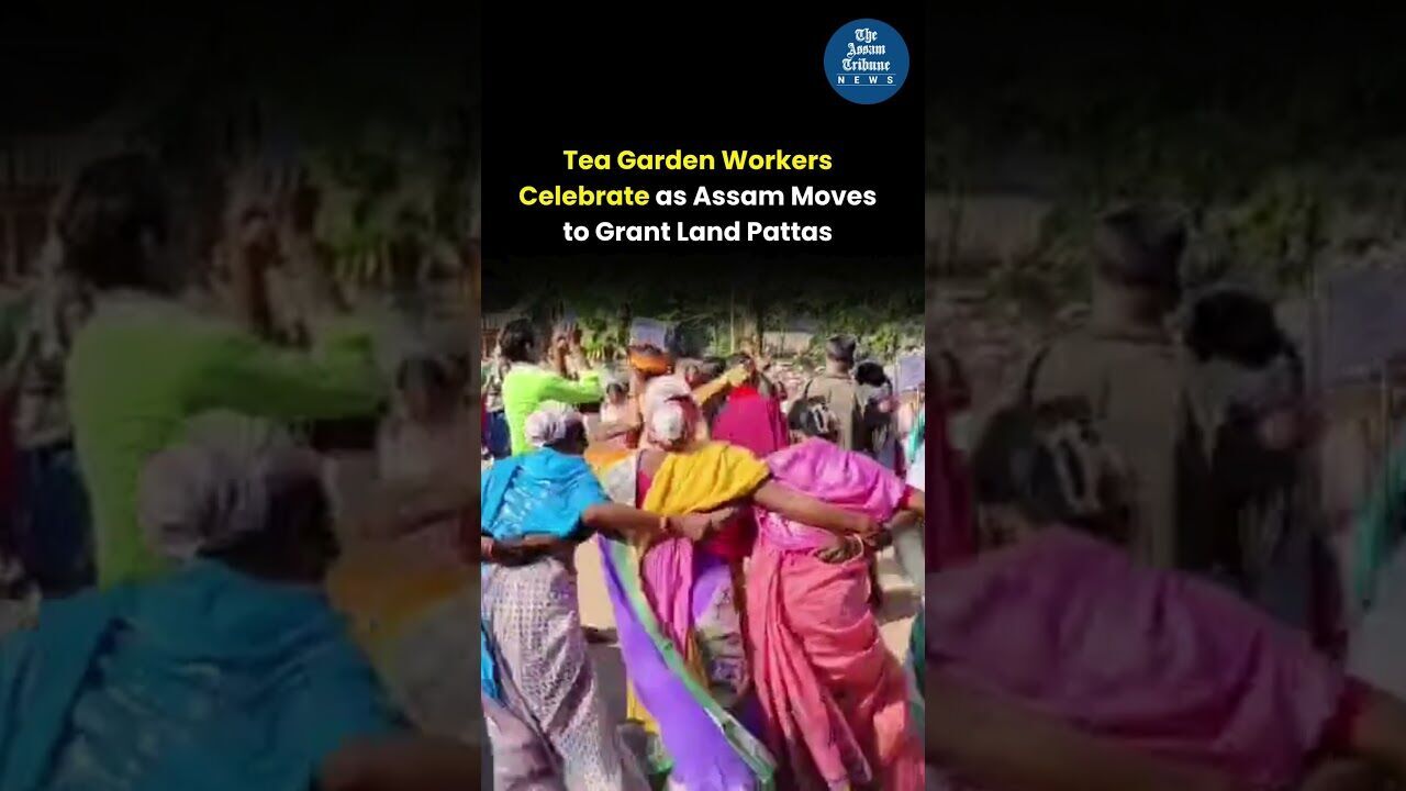 Tea Garden Workers Celebrate as Assam Moves to Grant Land Pattas