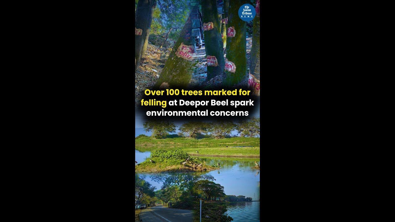 Over 100 trees marked for felling at Deepor Beel spark environmental concerns