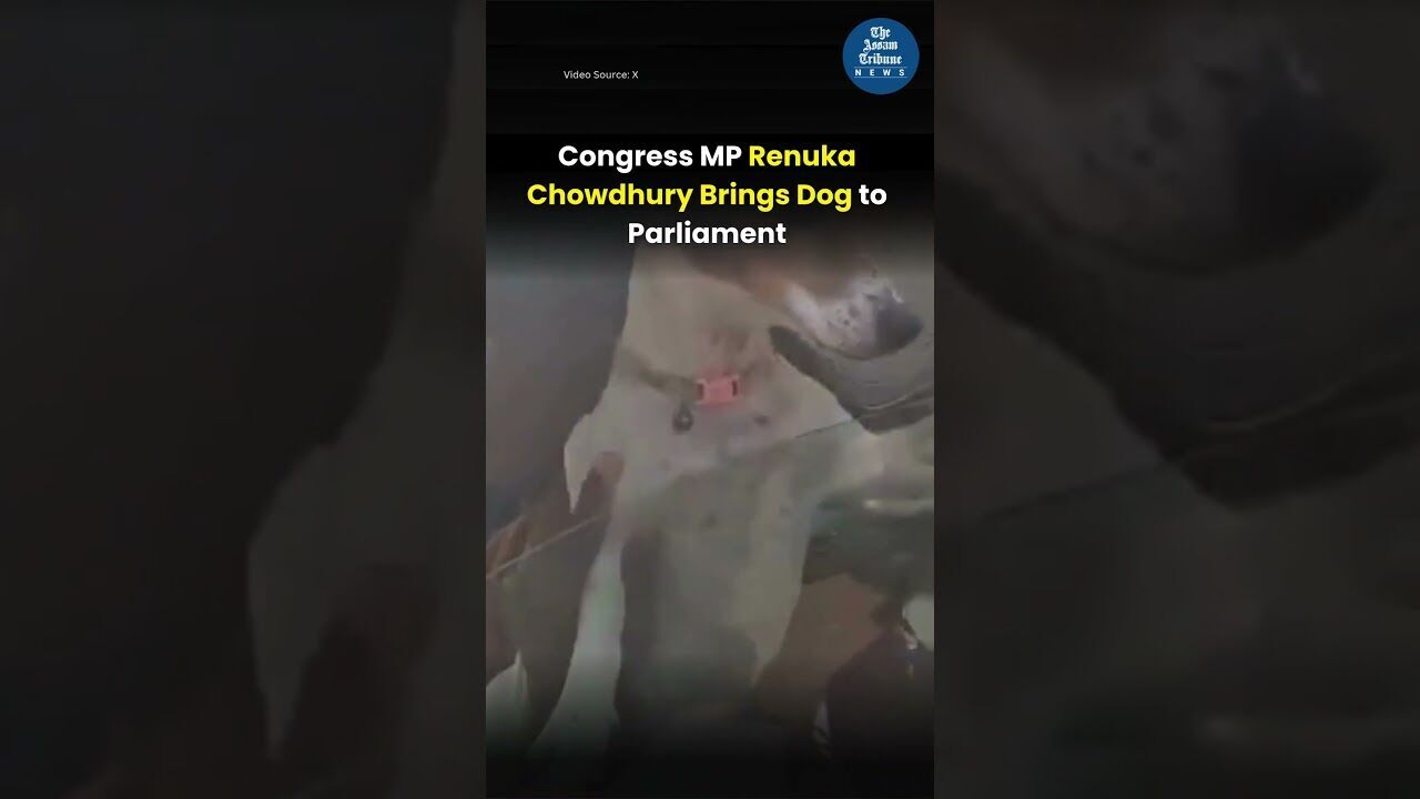 Congress MP Renuka Chowdhury Brings Dog to Parliament