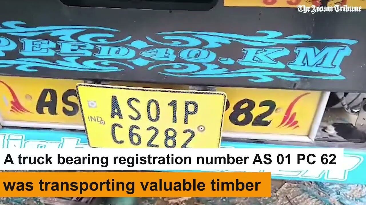 Valuable timber-laden vehicle seized in Digboi