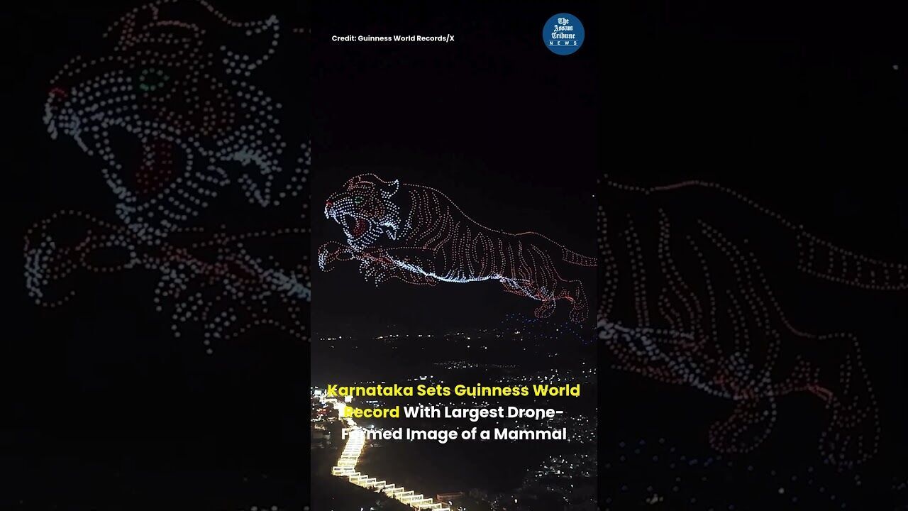 Karnataka Sets Guinness World Record With Largest Drone Formed Image of a Mammal